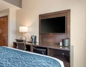 King room with TV and work space at Comfort Inn Prospect Park-Brooklyn.