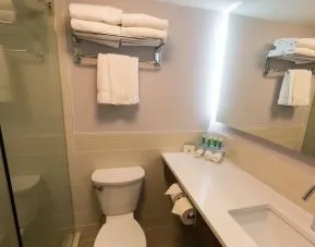 Guest bathroom with shower at Holiday Inn Express Edmonton Downtown.