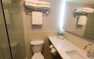 Guest bathroom with shower at Holiday Inn Express Edmonton Downtown.