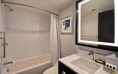 Guest bathroom with shower at Four Points By Sheraton Boston-Newton. 