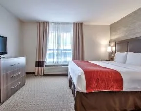 King room with natural light at Comfort Inn And Suites Calgary South.