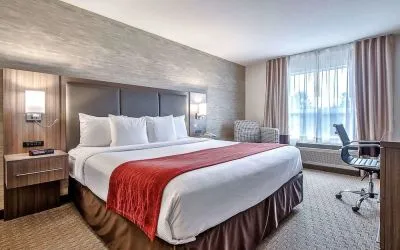 King room with work station at Comfort Inn And Suites Calgary South.