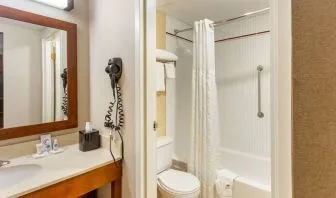 Private bathroom with shower at Comfort Suites Oakbrook Terrace.