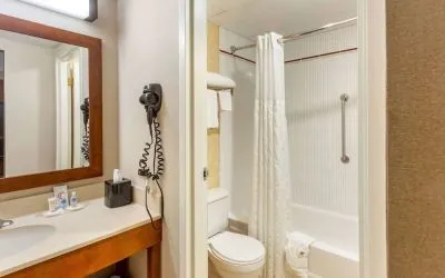 Private bathroom with shower at Comfort Suites Oakbrook Terrace.