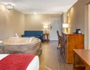 Hotel room with jacuzzi at Comfort Suites Oakbrook Terrace.