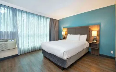 Romantic king room with natural light at Grand Park Hotel & Suites Downtown Vancouver.