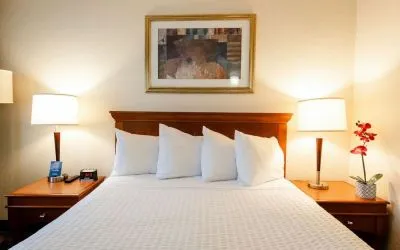 Queen bed at Travelodge Ottawa East.