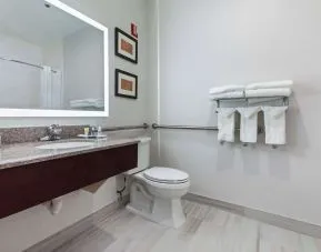 Guest bathroom with shower at Comfort Suites Lombard - Addison.