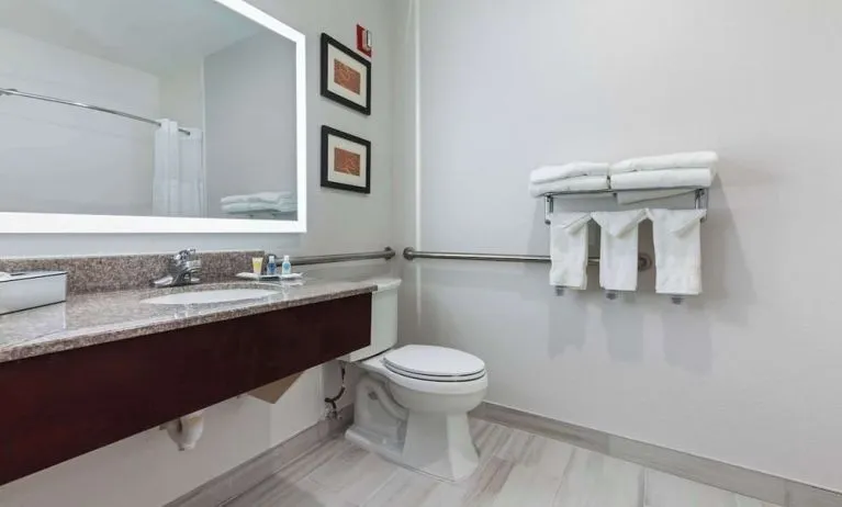 Guest bathroom with shower at Comfort Suites Lombard - Addison.