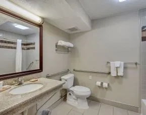 Guest bathroom with shower and tub at Radisson Hotel Salt Lake City Airport.