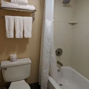 Guest bathroom with shower and tub at Best Western Braintree.