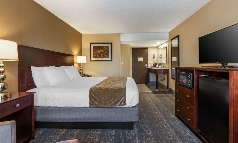 Day use room inclusions at Best Western Braintree.