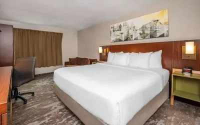Standard day use room with work desk at Comfort Inn Ottawa East.