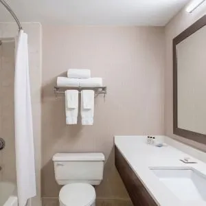 Guest bathroom with shower and tub at Delta St. John's Hotel & Conference Center.