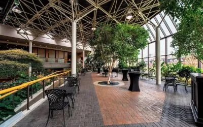 Beautiful lounge area at Sheraton Hotel Newfoundland.