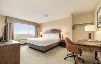 Bright and spacious day use room with work desk at Holiday Inn Lethbridge.