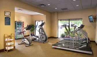 Fitness facility at Holiday Inn Orlando SW - Celebration Area.