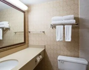 Guest bathroom with shower at Best Western North Bay.