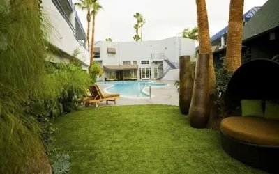 Garden beside the pool at Hotel Current.