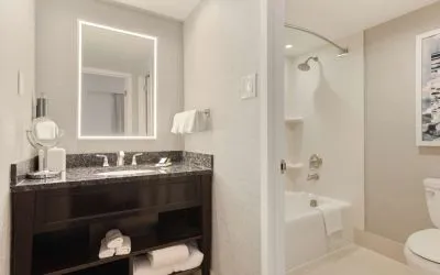 Guest bathroom with shower and tub at Capital Hilton.