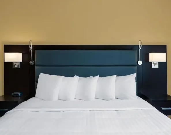 King bed at Hotel 1550 SFO.