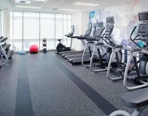 Fitness center available at Springhill Suites Carle Place.