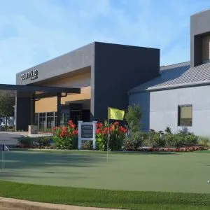 Mini golf available at Courtyard By Marriott Dallas DFW Airport North/Irving.