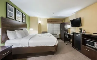 Romantic king room at Spark By Hilton Oxford.
