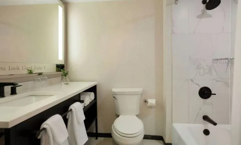 Guest bathroom with shower and tub at Renaissance Boca Raton Hotel.
