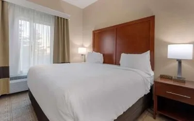Day use room with natural light at Comfort Inn & Suites Mankato.