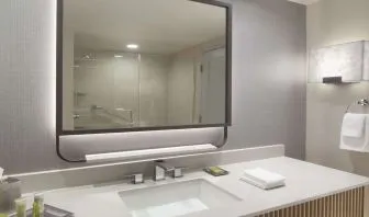 Guest bathroom with shower at Hilton Anatole.