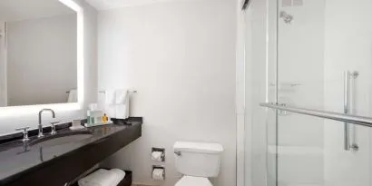 Guest bathroom with shower at Hilton Atlanta.