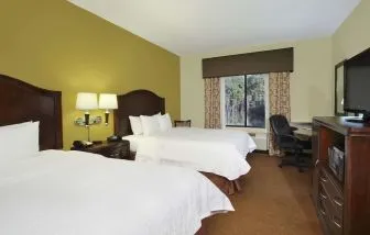 Day use twin room with work desk at Hampton Inn & Suites Conroe - I-45 North.