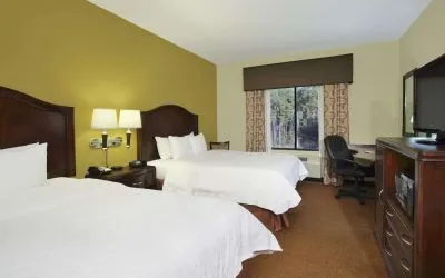 Day use twin room with work desk at Hampton Inn & Suites Conroe - I-45 North.
