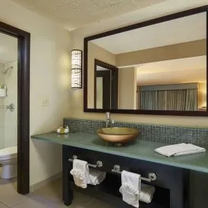Guest bathroom with shower at DoubleTree By Hilton Orlando At SeaWorld.