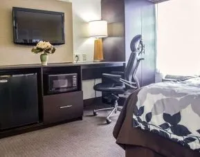 Day use room workspace at Sleep Inn Tinley Park.