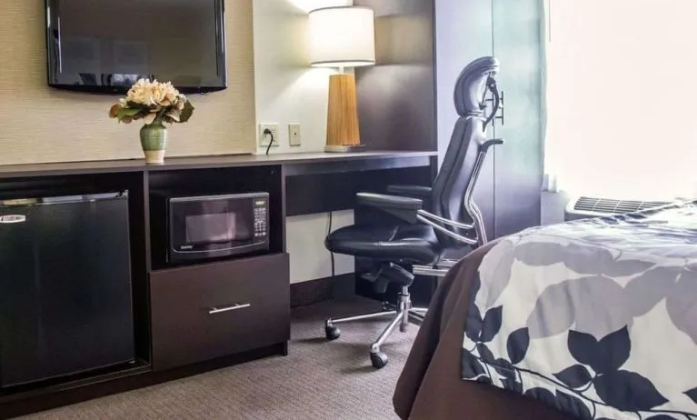 Day use room workspace at Sleep Inn Tinley Park.