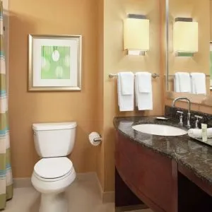 Guest bathroom with shower and tub at Hilton Orlando.