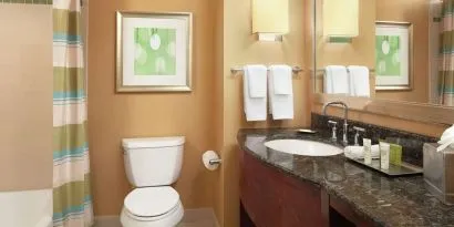 Guest bathroom with shower and tub at Hilton Orlando.