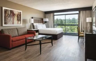 Day use room with natural light at Hilton Bellevue.