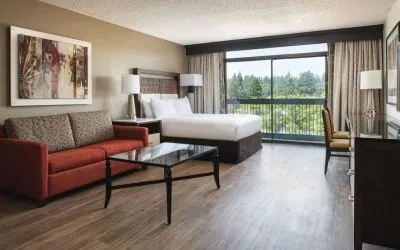 Day use room with natural light at Hilton Bellevue.