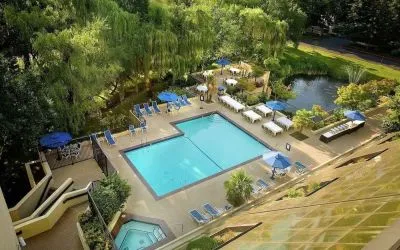 Seasonal outdoor pool and jacuzzi surrounded by sun loungers at Hilton Bellevue.