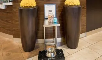 Sonesta Select Detroit Auburn Hills is pet friendly.