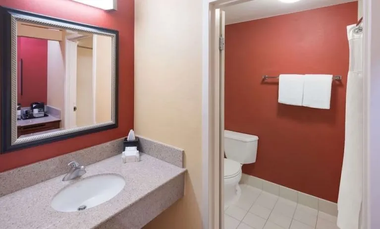 Private guest bathroom with shower at Sonesta Select Detroit Auburn Hills.