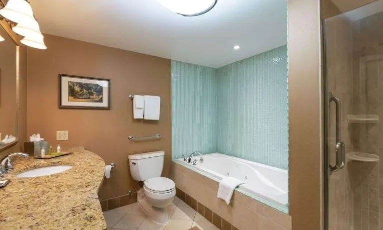 Guest bathroom with shower and tub at DoubleTree By Hilton Grand Rapids Airport.