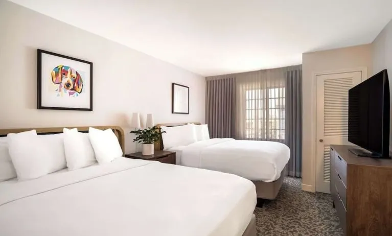 Day use twin room at Sonesta ES Suites Austin The Domain Area.