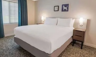 King bed at Sonesta ES Suites Austin The Domain Area.
