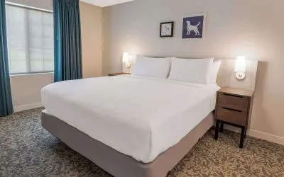 King bed at Sonesta ES Suites Austin The Domain Area.