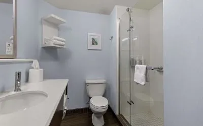 Guest bathroom with shower at Hampton Inn Bloomington.