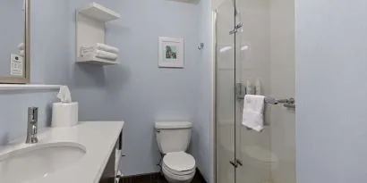 Guest bathroom with shower at Hampton Inn Bloomington.